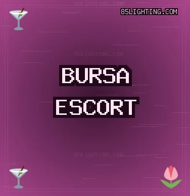 Bursa Escort: Nilüfer Escort, Harmancık Escort, Mustafakemalpaşa Escort
